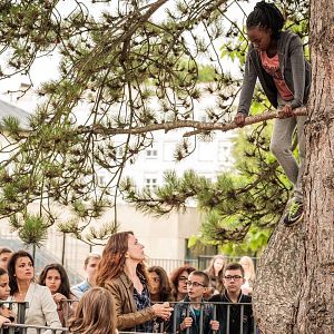 Bilder Médina Diarra