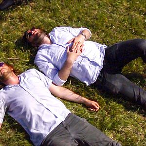 Bilder Könige der Welt