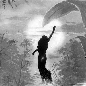 Bilder Sinfonia Amazônica