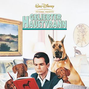 Bilder Geliebter Haustyrann