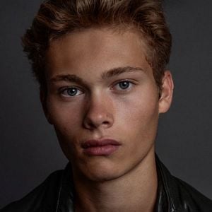 Bilder Jules Houplain