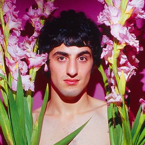 Bilder Walter Pfeiffer - Chasing Beauty