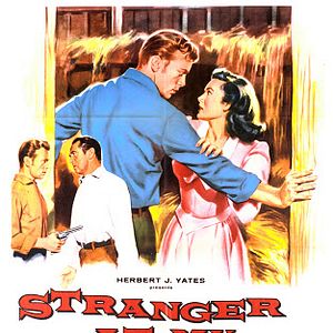 Bilder Der schwarze Mustang