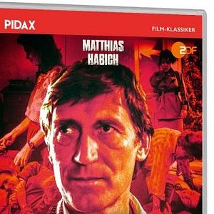 Bilder Der Schrei der Eule