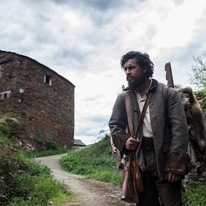 Bilder Die Haut des Wolfes