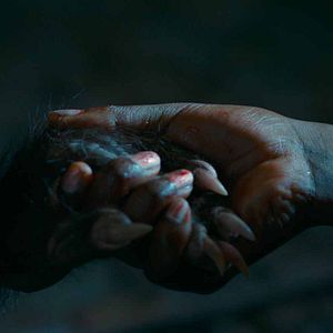 Bilder Gute Manieren