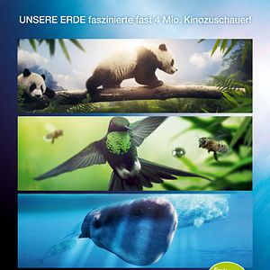 Bilder Unsere Erde 2