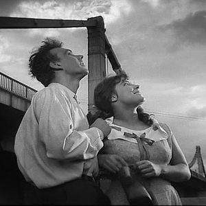 Bilder Wenn die Kraniche ziehen