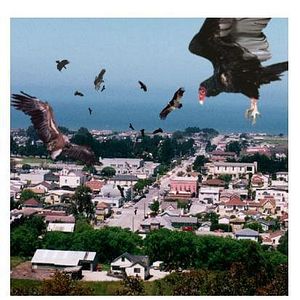 Bilder Birdemic: Shock and Terror