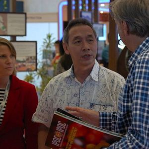 Bilder Die grüne Lüge