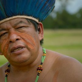 Bilder Die grüne Lüge