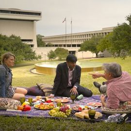 Bilder Die grüne Lüge