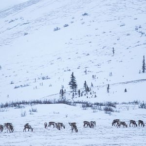 Bilder Sternenjäger - Abenteuer Nachthimmel