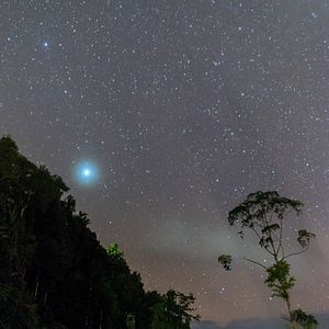 Bilder Sternenjäger - Abenteuer Nachthimmel