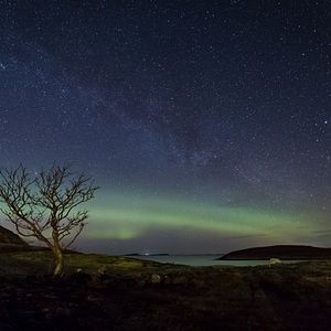 Bilder Sternenjäger - Abenteuer Nachthimmel