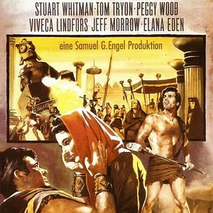 Bilder Das Buch Ruth