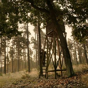 Bilder Auf der Jagd - Wem gehört die Natur?