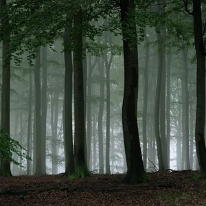 Bilder Auf der Jagd - Wem gehört die Natur?