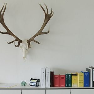 Bilder Auf der Jagd - Wem gehört die Natur?