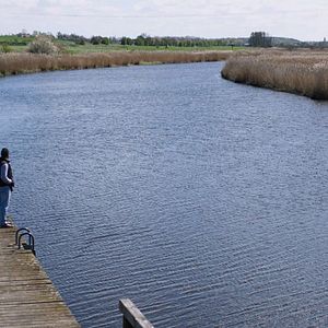 Bilder Über Leben in Demmin