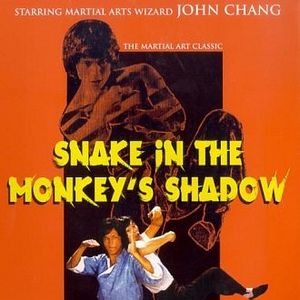 Bilder 2 tödliche Fäuste im Schatten der Schlange