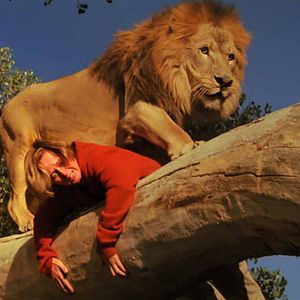 Bilder Roar - Die Löwen sind los