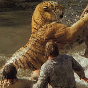 Bilder Roar - Die Löwen sind los