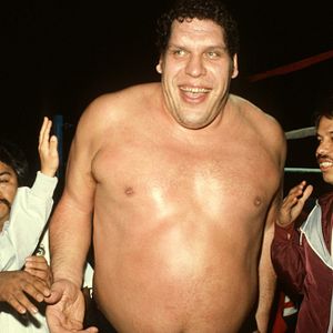 Bilder André The Giant