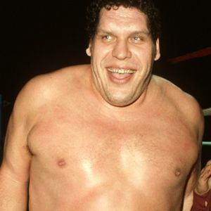 Bilder André The Giant