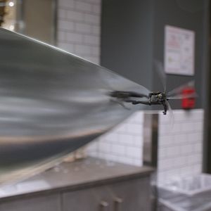 Bilder Evangeline Lilly