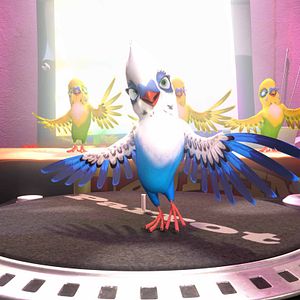 Bilder Überflieger - Kleine Vögel, großes Geklapper