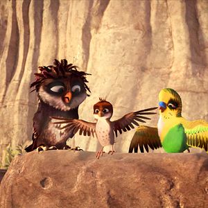 Bilder Überflieger - Kleine Vögel, großes Geklapper