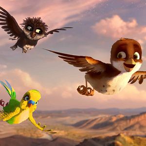 Bilder Überflieger - Kleine Vögel, großes Geklapper