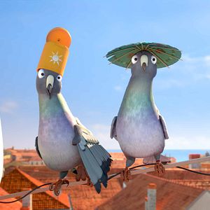 Bilder Überflieger - Kleine Vögel, großes Geklapper