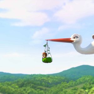 Bilder Überflieger - Kleine Vögel, großes Geklapper