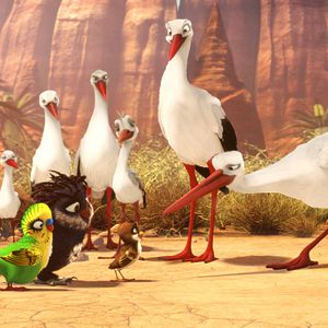 Bilder Überflieger - Kleine Vögel, großes Geklapper