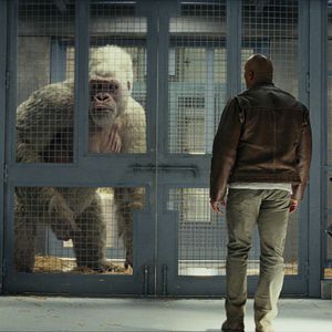 Bilder Rampage - Big Meets Bigger