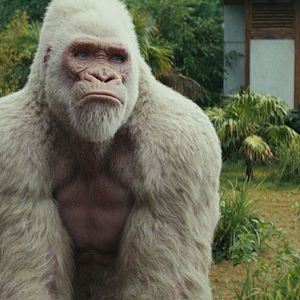 Bilder Rampage - Big Meets Bigger