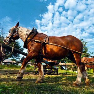 Bilder Les Sillons de la liberté