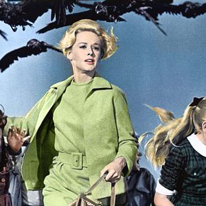 Bilder Tippi Hedren
