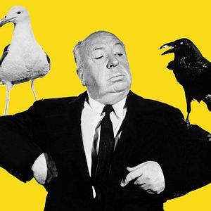Bilder Alfred Hitchcock