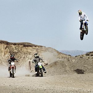 Bilder It Came From The Desert