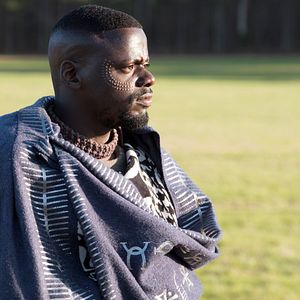 Bilder Black Panther