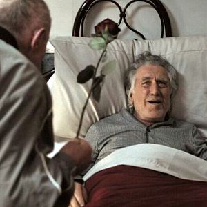 Bilder Lando Buzzanca