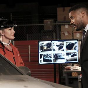 Bilder Pauley Perrette