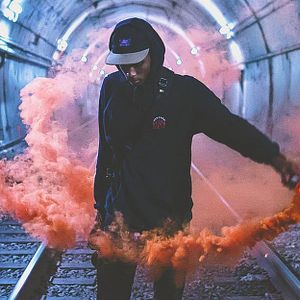 Bilder Social Animals