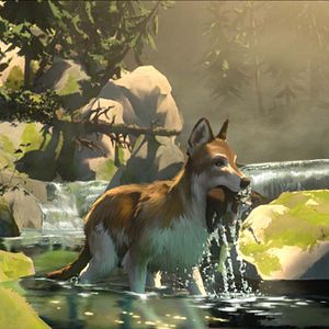 Bilder Die Abenteuer von Wolfsblut