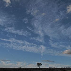 Bilder Con el viento