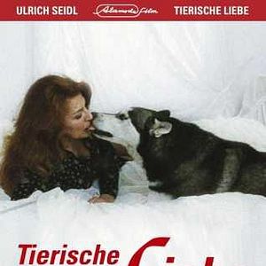 Bilder Tierische Liebe