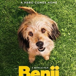 Benji - Film 2018 - FILMSTARTS.de